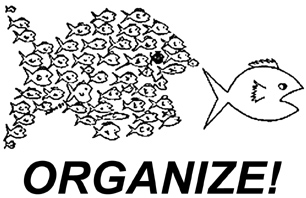 organize-FISH